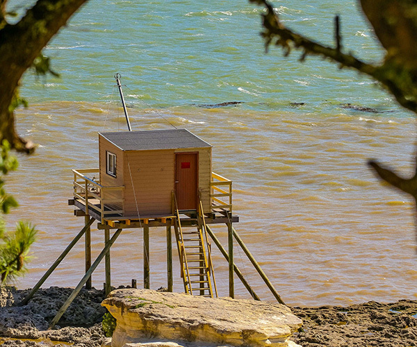 agence immobilière vaux sur mer